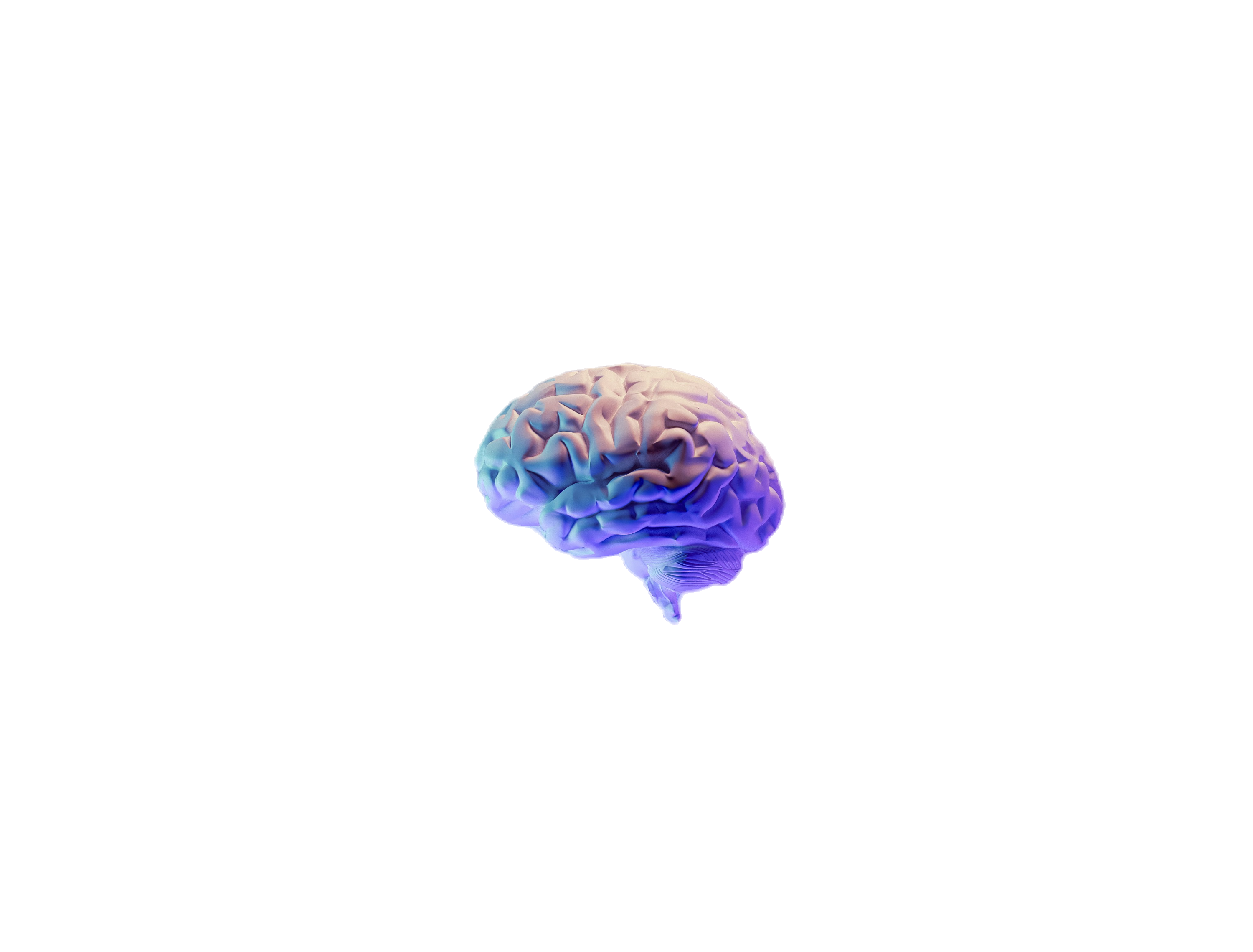 _edited.png