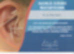 Presenter at the Ear Acupuncture Con