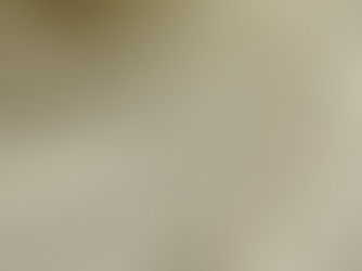 Die Spreuke-31 Vrou in ’n moderne wêreld