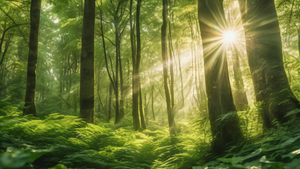 Achieve Radiant Skin with Nature's Embrace Skin Care