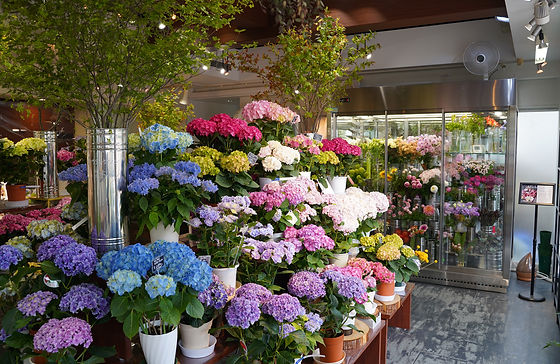 フロアガイド Atelierdream 栃木県宇都宮市の花屋あとりえドリーム