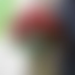 一生に一度の想いを、赤いバラに込めて。