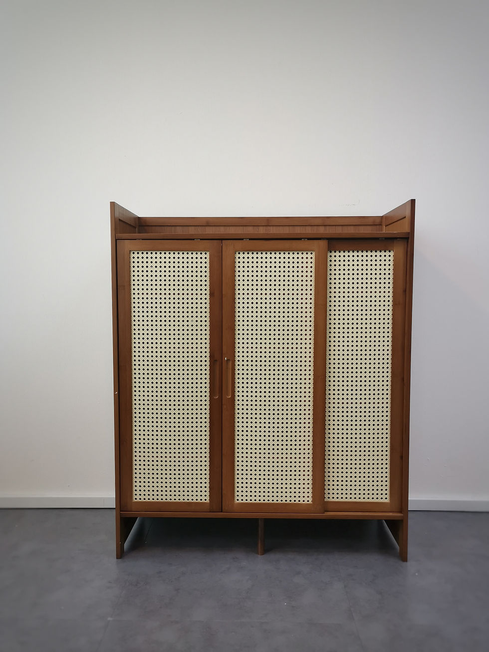 Abuden Sliding Door Shoe Cabinet_3 Doors