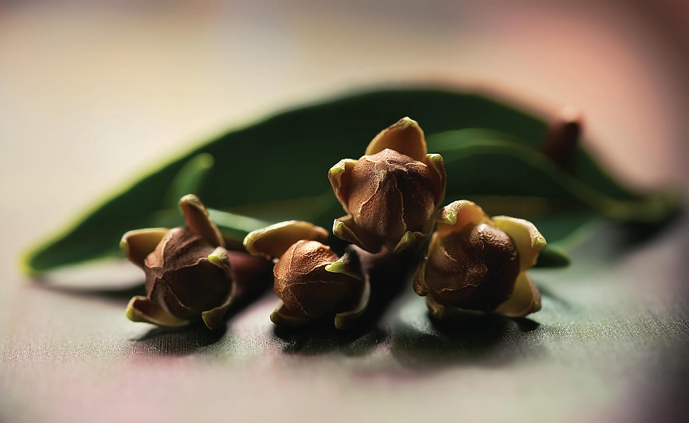 Liquid botanical extract of Clove Bud Oil used in FEEL NO EVIL soap formulation.
