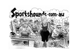 sportshounds