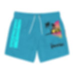Turquoise VSR Swim Trunks 