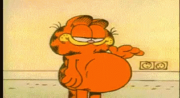 garfield-belly.gif
