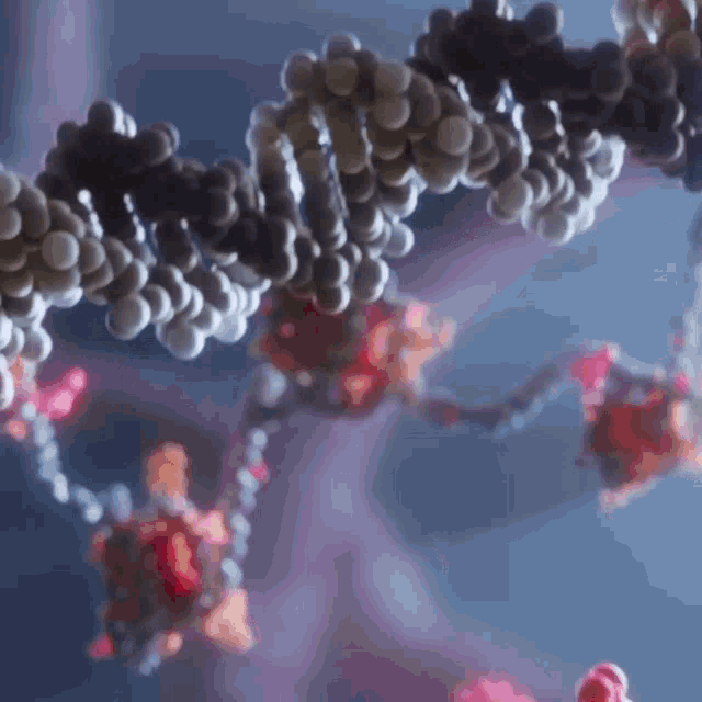 dna-curaxin.gif