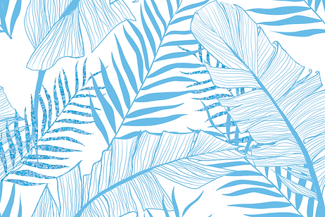 Bildschirmfoto 2020-07-04 um 12.20.40.pn