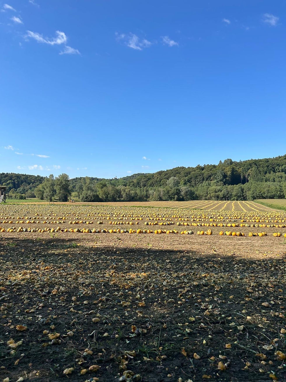 Foto 28.10.25, 11 31 09 (1).jpg