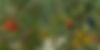 Midjourney.jpg
