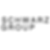 SCHWARZ GROUP (2)_edited.png