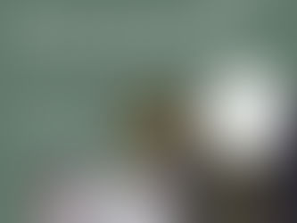 Einladung zum Tag der offenen Tür im Heizwerk St. Peter i.S.