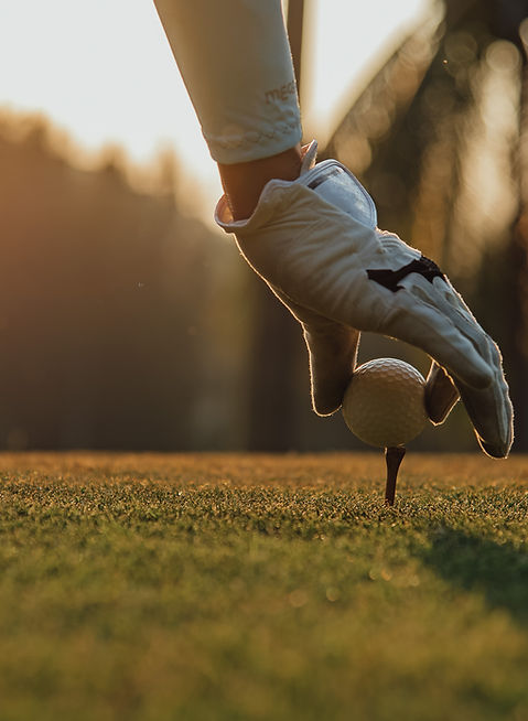 Zawotec_Region (3).jpg