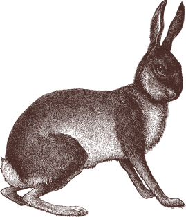 Weintracht_haseklein.png