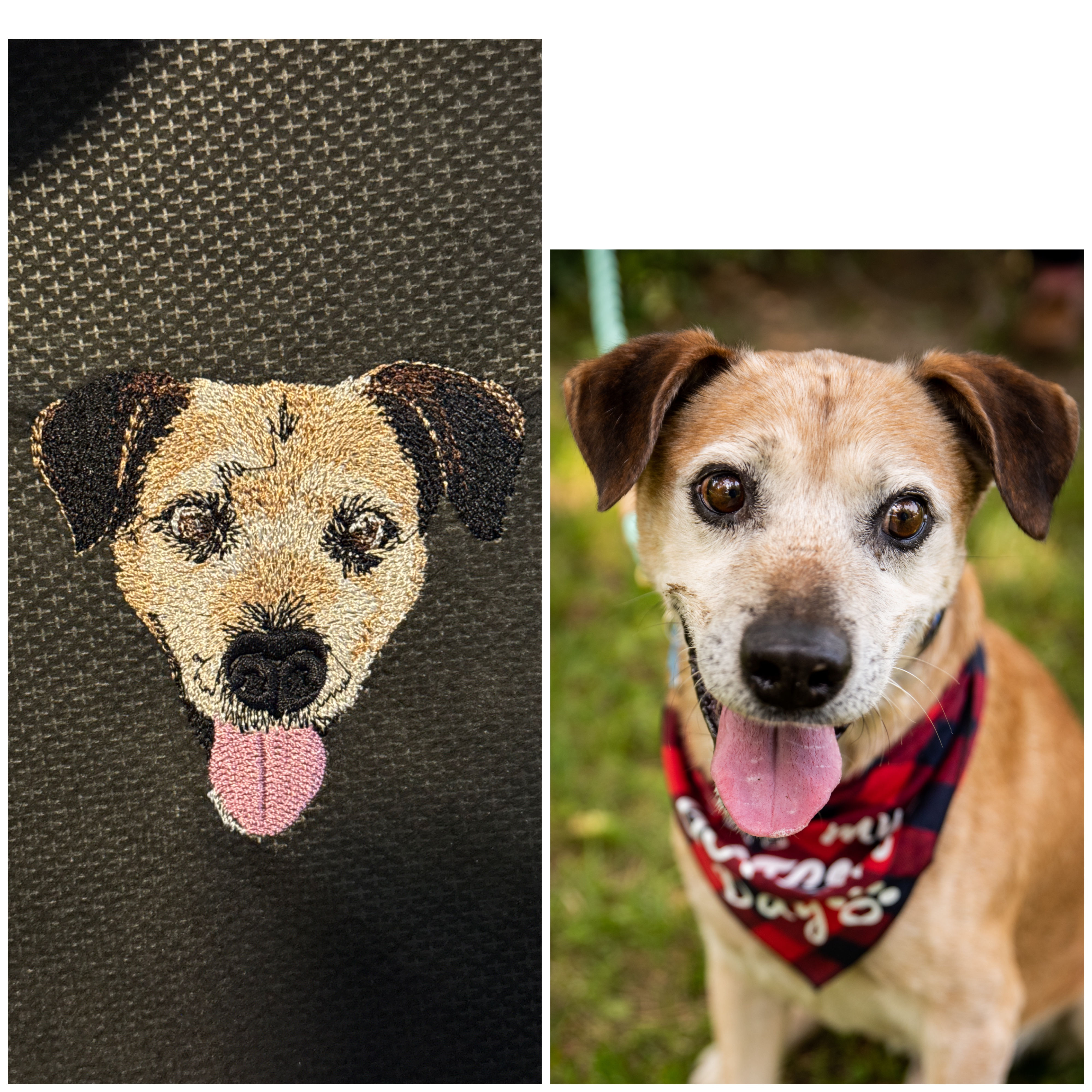 Custom Pet Portrait Sweater