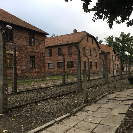Visiting Auschwitz
