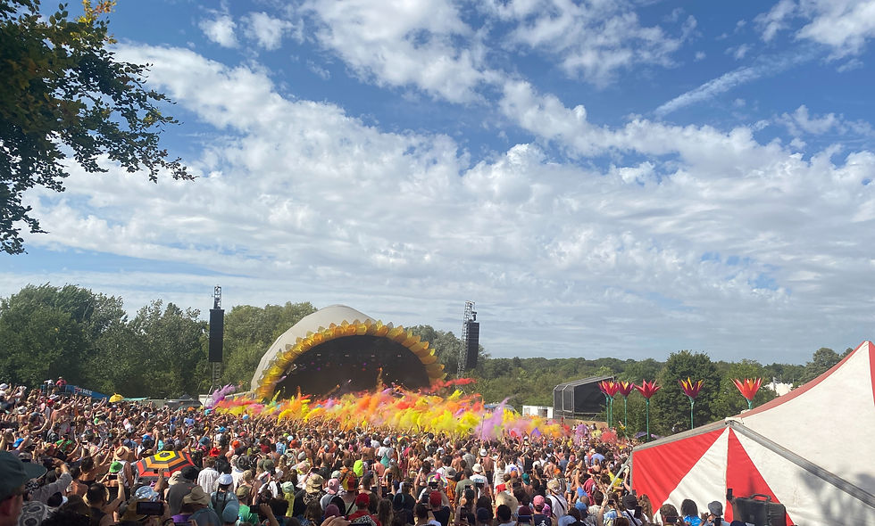 Festival paint