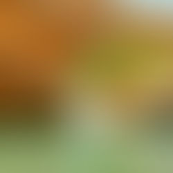 Shehakol Nih’yeh Bid’varo: Hydration as Holy Stewardship