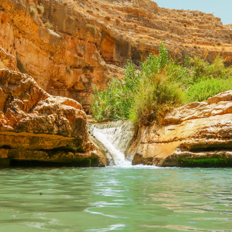 Natural spring in the Judean Desert