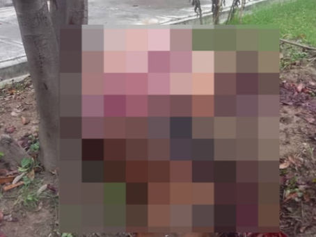 Hallan un caballo desmembrado en un Unidad Educativa de Palo Negro estado Aragua.
