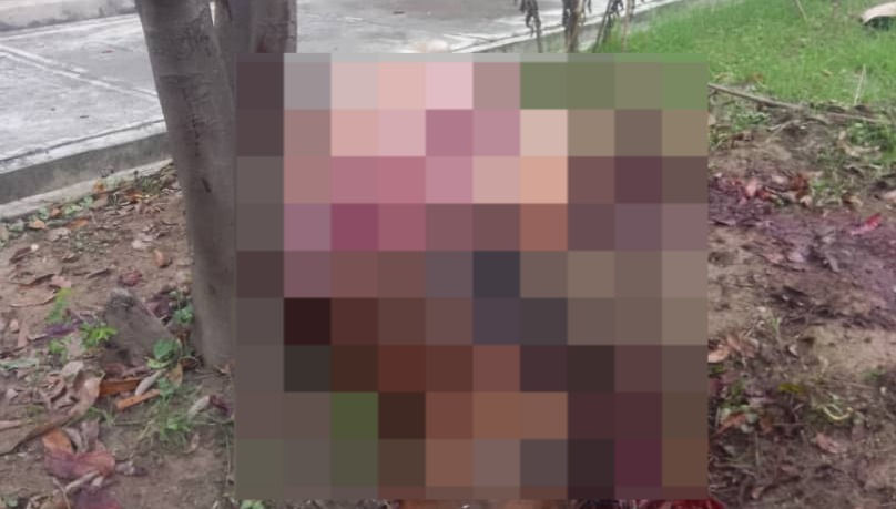 Hallan un caballo desmembrado en un Unidad Educativa de Palo Negro estado Aragua.