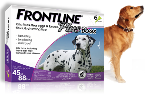 frontline for dogs