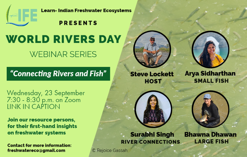 Poster advertising a fish and river connectivity webinar