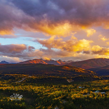 Denali Sunset