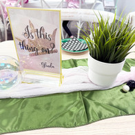 Wicked the Musical Inspired Birthday Party mashed up with Spa.