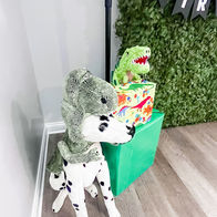 Sam the Dalmatian dressed up as a Dinosaur