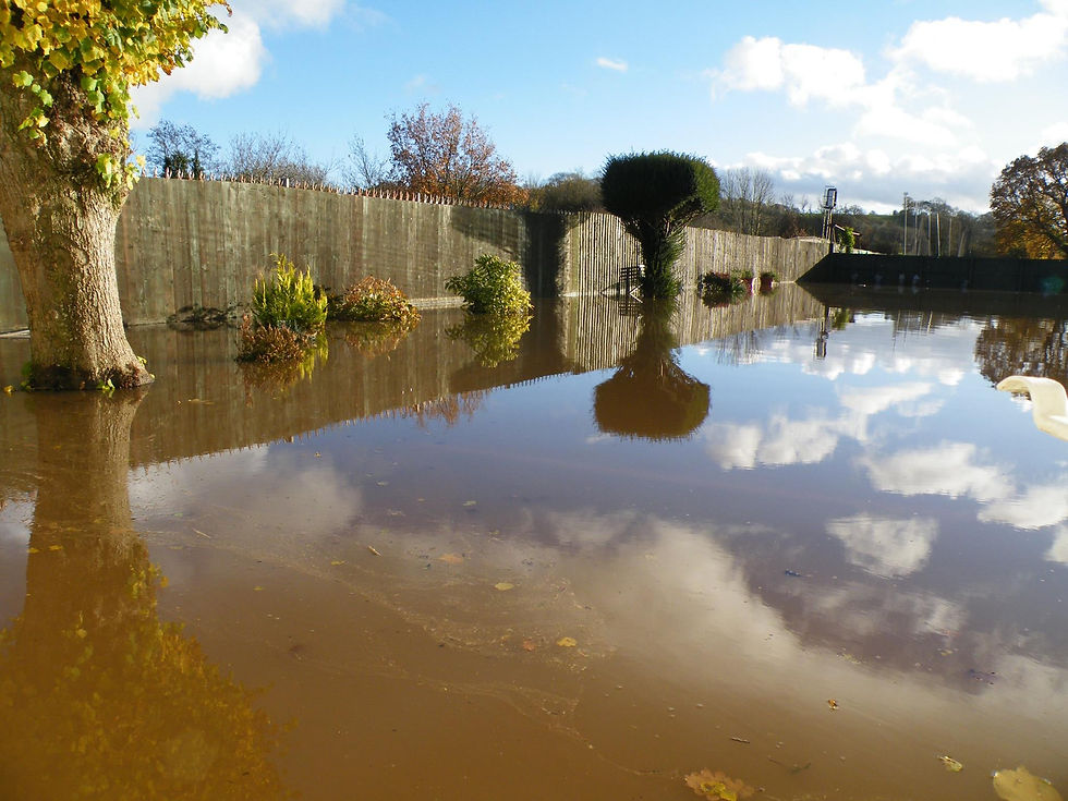 cullompton bowling club
