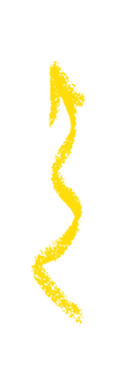 Squiggles for Website.png