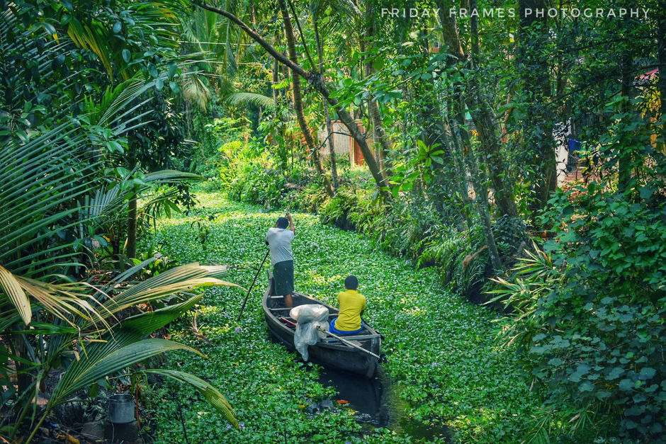 Kuttanad is a region in Kerala that has many interesting aspects emanating from its culture, evoluti