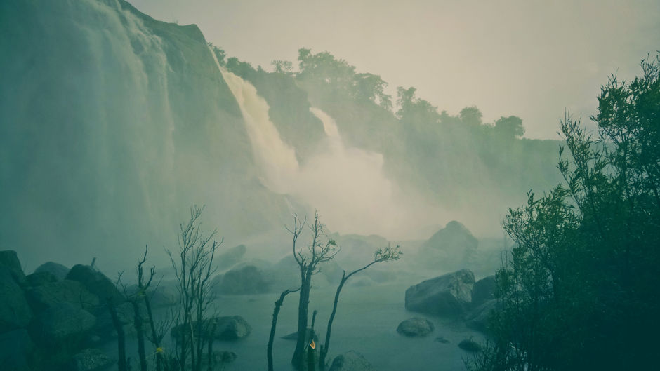 Nature lovers: ffp