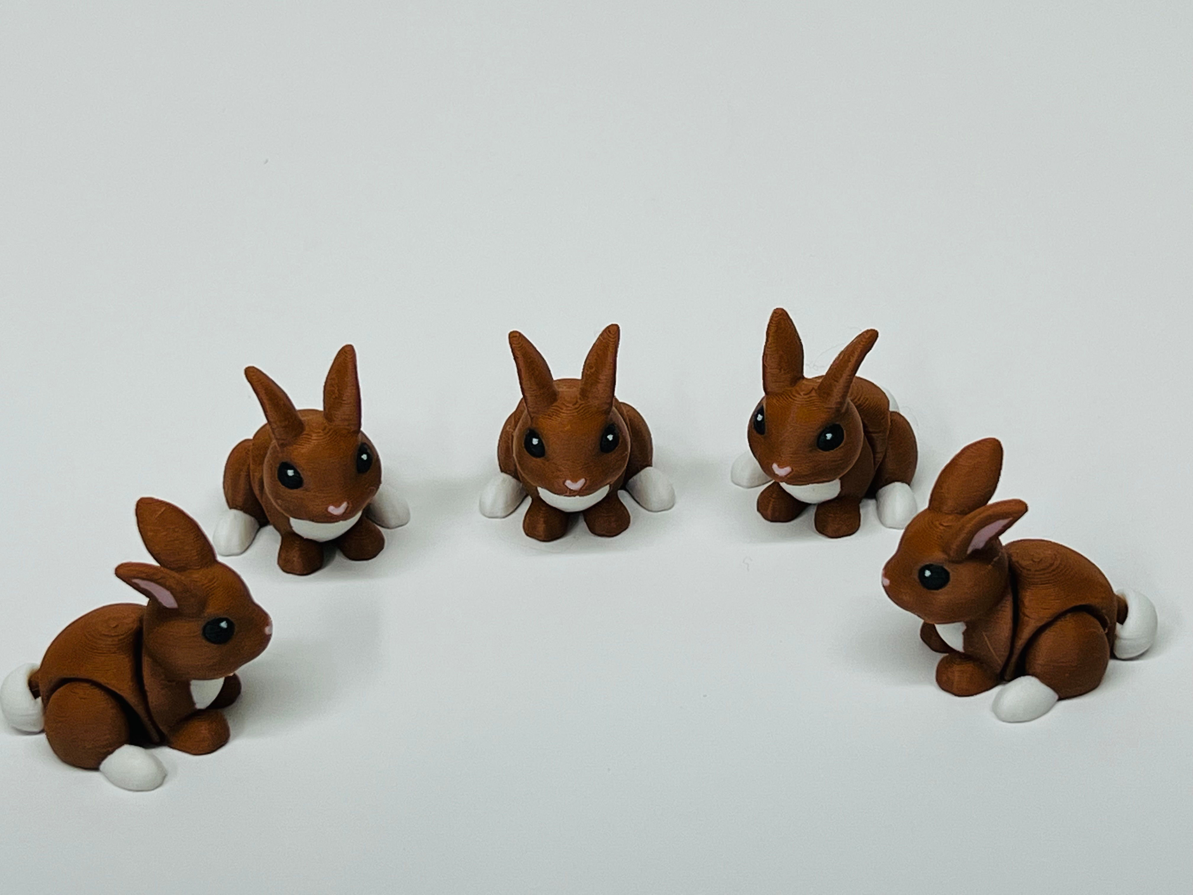 Bunny