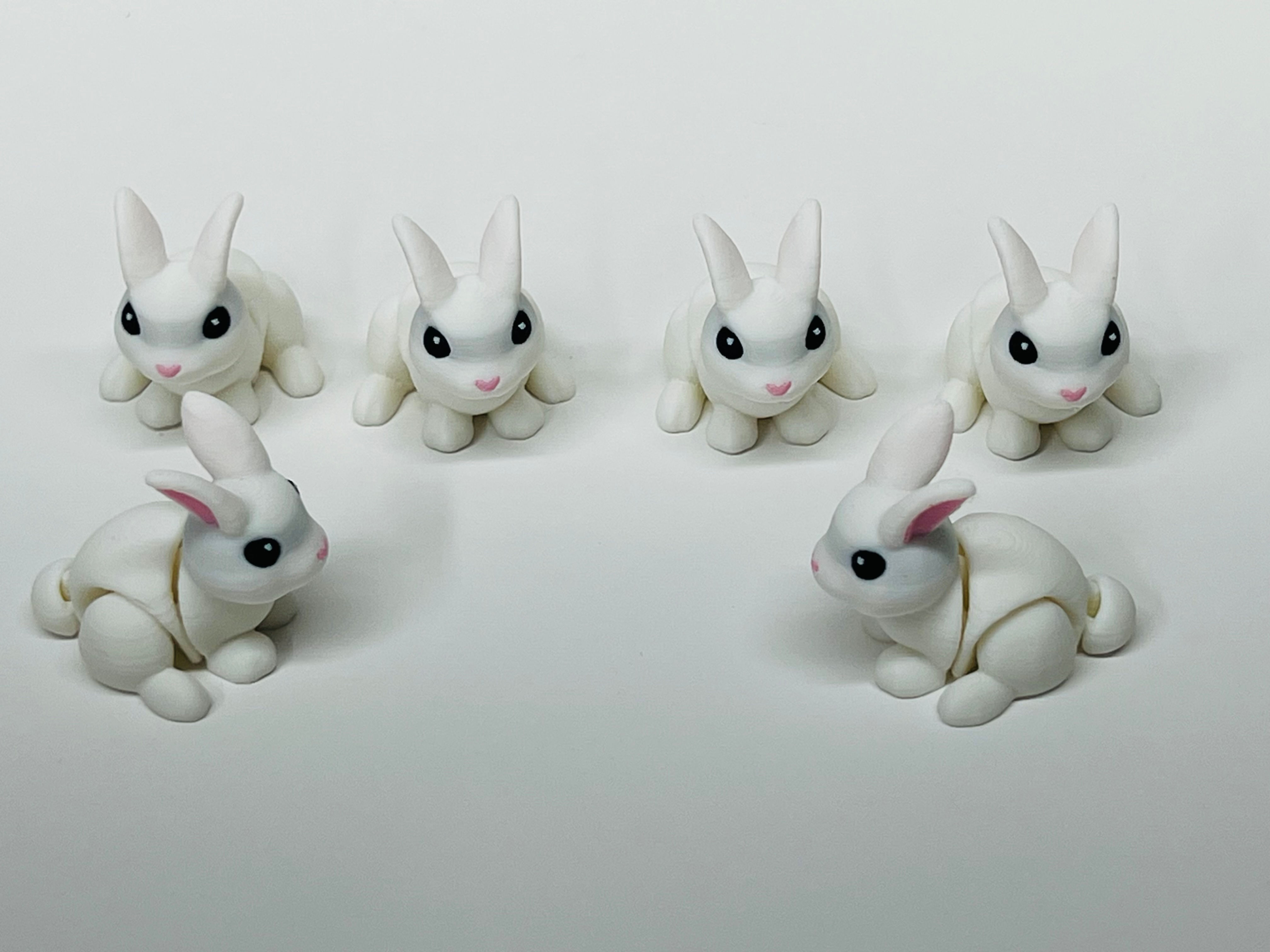Bunny