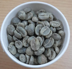 WoodiPecks Arabica washed AAA grade.jpeg