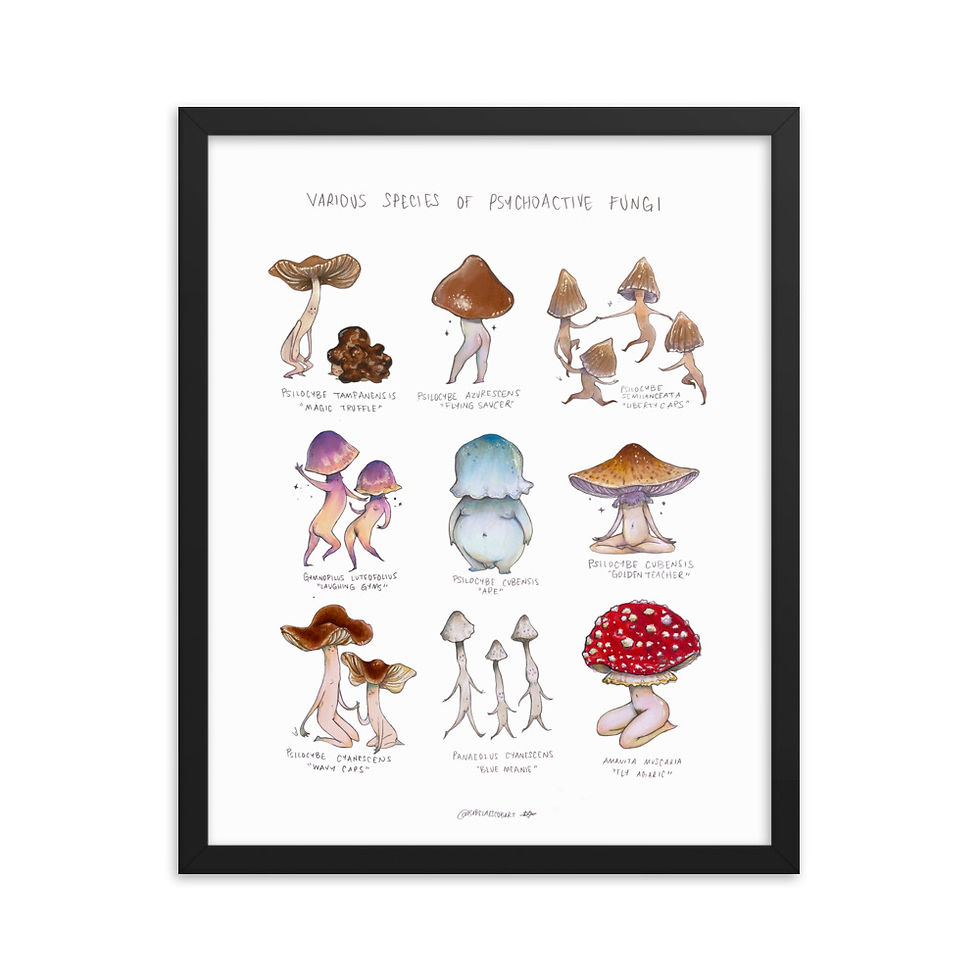 Thumbnail: Psychoactive Mushrooms - Framed poster
