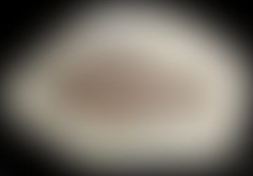 My Point of View vis-a-vis Another Tutor's Comment