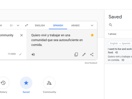 One Cool Way to Use Google Translate to Expand Your Vocabulary in English
