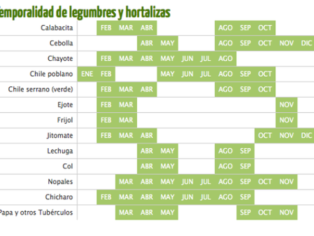 In Season, Out of Season in Mexico