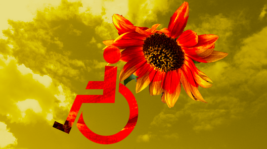 sunny day.png