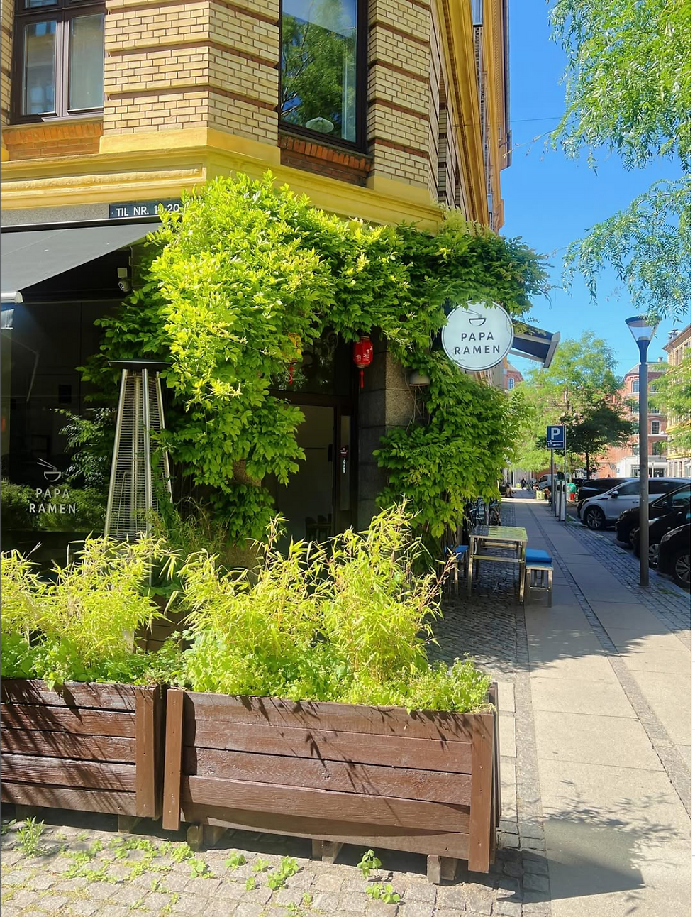 Skydebanegade 16, 1709 København V