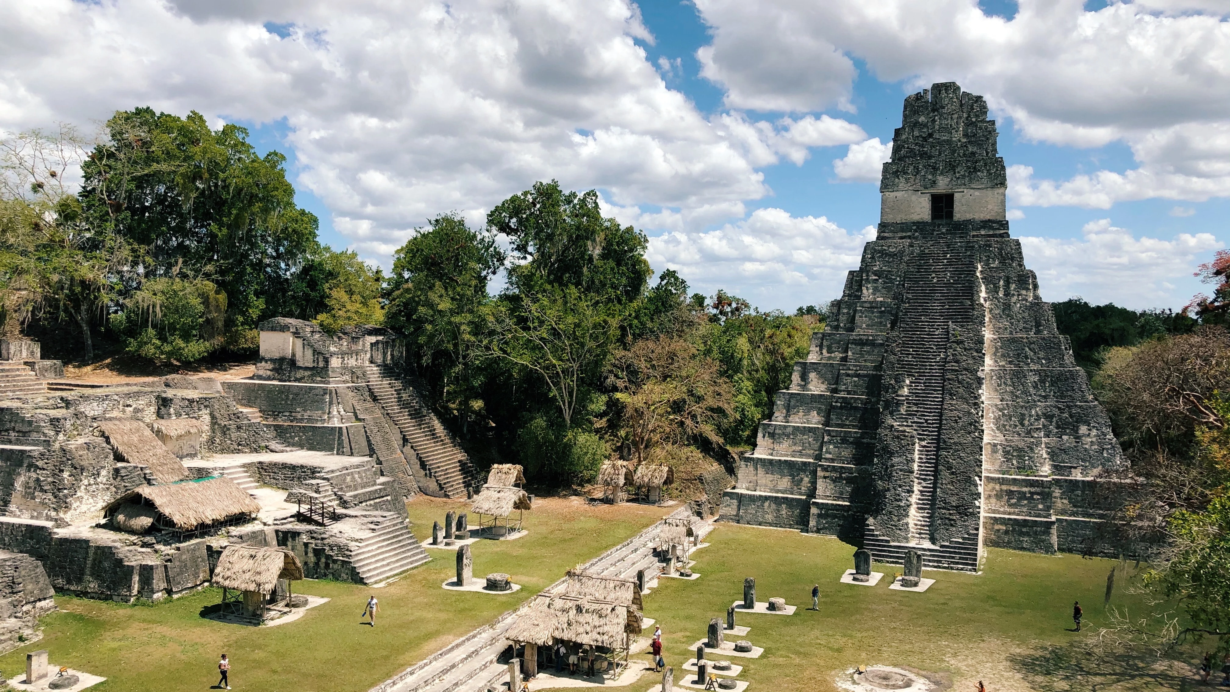 tikal-maya-ruins-guatemala.webp