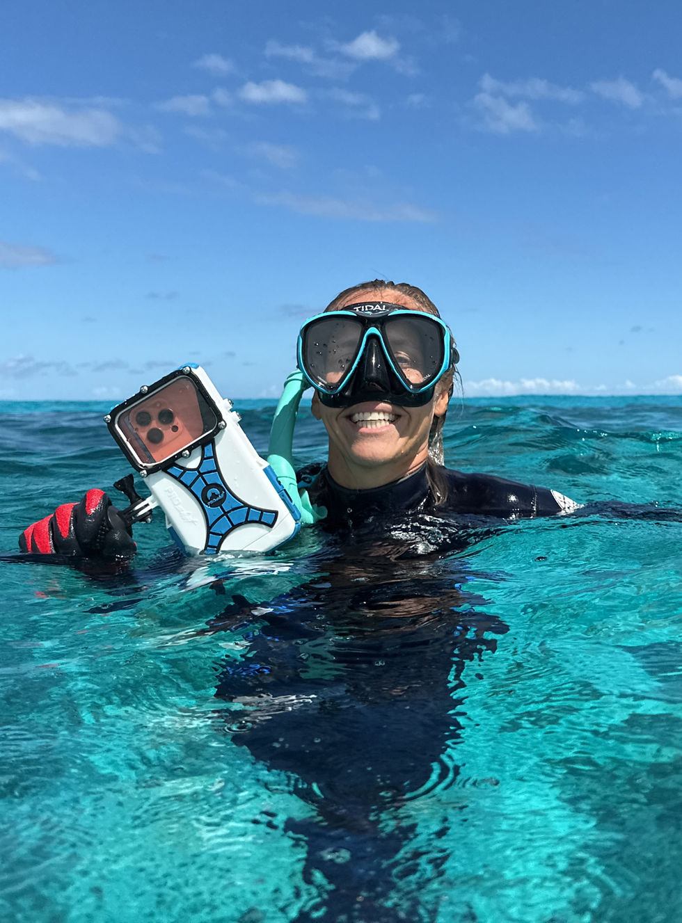 holiday gift guide for divers phone case