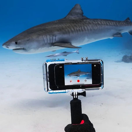 Best Practices for Using the ProShotCase: O-Ring Maintenance, Ergonomic Handling, and Secure iPhone Installation