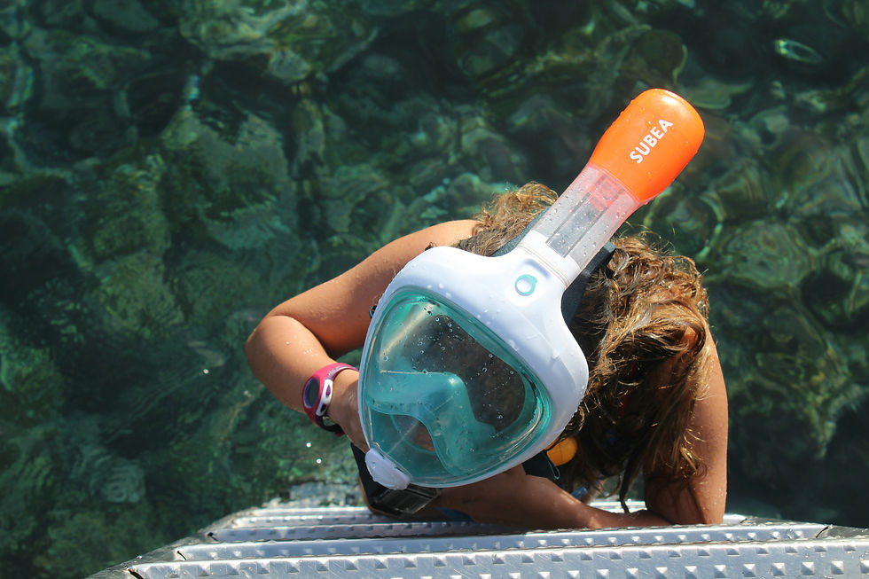 full face snorkel mask
