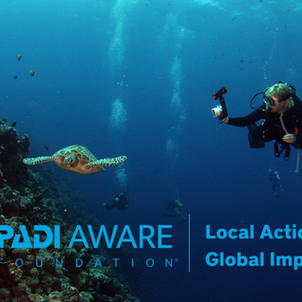 PADI AWARE Week 2025: How to Get Involved