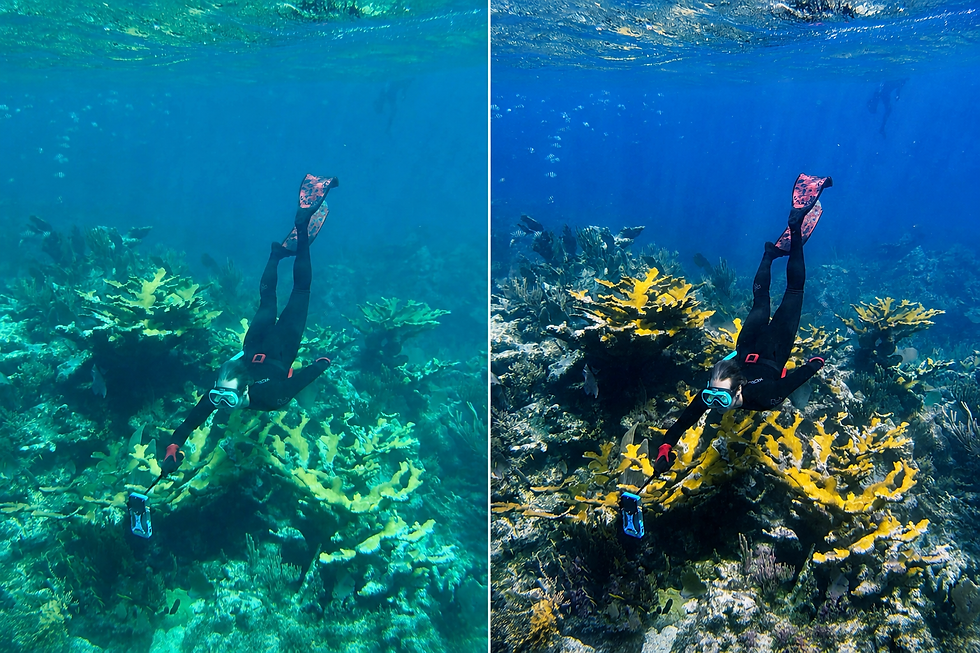 snorkeler photo before and after correction